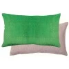 Coussin anime Rosetta Cactus 30 x 50