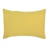 Coussin uni Zeff Absynthe 40 x 65