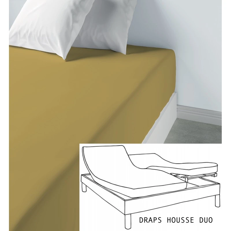 Lot de 2 draps housse uni coton bonnet 35 cm Gold 80 x 200 x 35