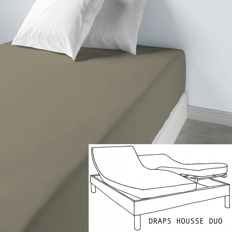 Lot de 2 draps housse uni coton bonnet 35 cm Cedre 80 x 200 x 35