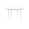 MAYLI - Table ronde 120 cm plateau stratifié HPL pour l'intérieur et l'extérieur