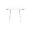 MAYLI - Table ronde 120 cm plateau stratifié HPL pour l'intérieur et l'extérieur