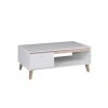 OWIE - Table basse scandinave 1 porte 120 cm /bois
